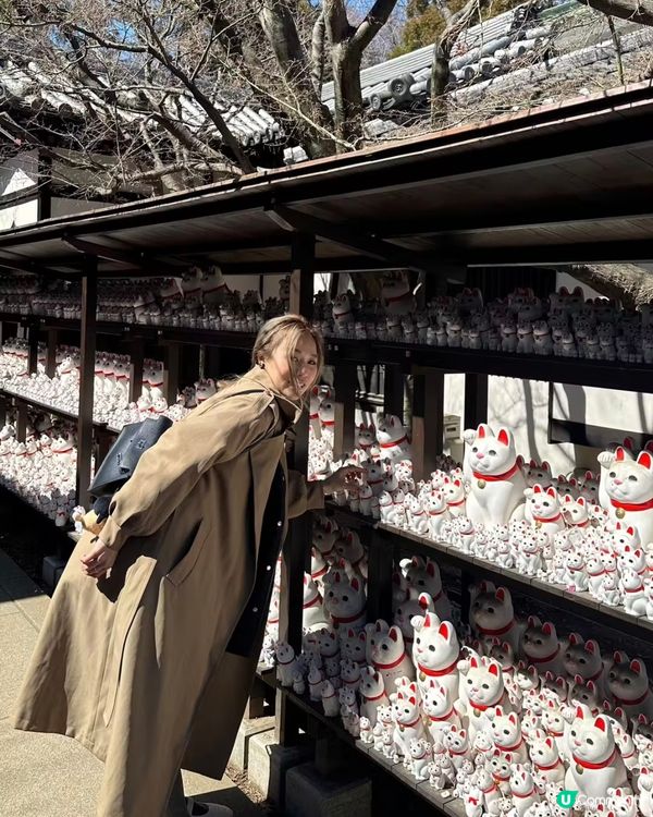 千貓招福！豪德寺許願攻略 🐱✨