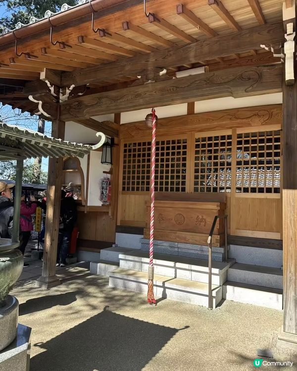 千貓招福！豪德寺許願攻略 🐱✨