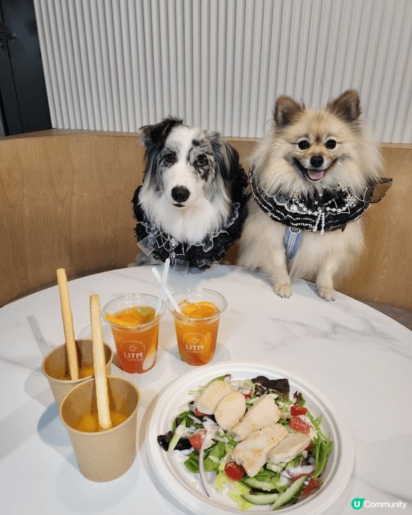 去北角匯必去活呢間寵物友善餐廳，食單定期會轉，味道都唔錯，而...