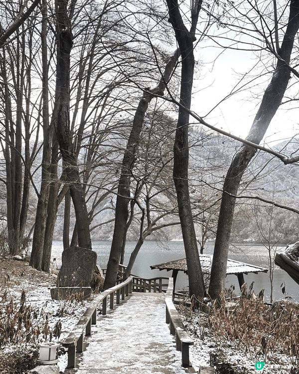 冬天的南怡島，必去打卡景點。樹林大道變成雪白世界，水杉大道兩...