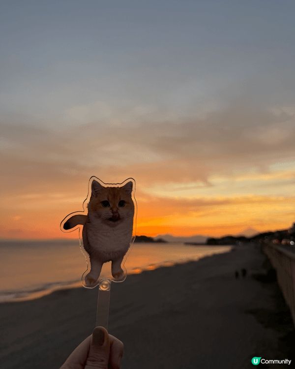 相片主角是遠方那座幾乎成為剪影的富士山。天空被夕陽染成層次分...