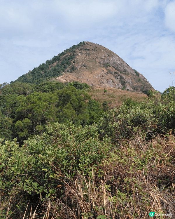 取道馬鞍山效野公園，到昂平，再行落大水井，至西貢，難度3星。...