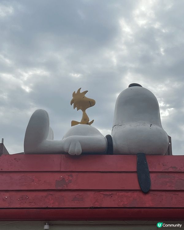 好耐冇咁有種「返到屋企」嘅感覺，沙田新城市廣場嘅Snoopy...