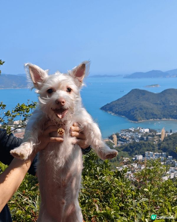 釣魚翁係香港三尖之一，係比較容易行嘅"尖", 行1個鐘左右就...