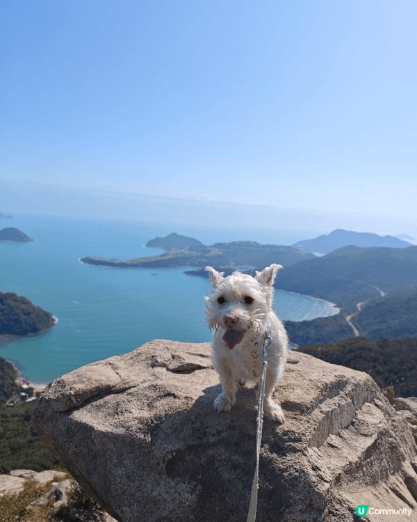 釣魚翁係香港三尖之一，係比較容易行嘅"尖", 行1個鐘左右就...