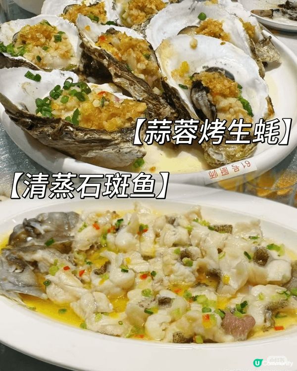 今天挖到一家宝藏海鲜餐厅，食材全是新鲜打捞的，价格小贵但味道...