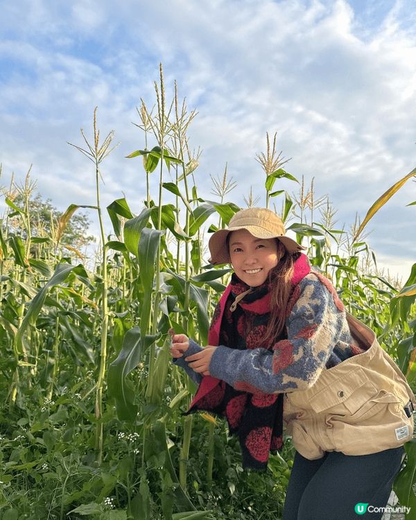 香港好去處🤗兩日一夜遠離繁囂去露營🤗今次去左元朗錦田入啲既擇...