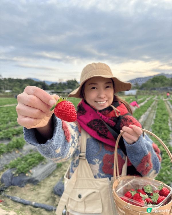 香港好去處🤗兩日一夜遠離繁囂去露營🤗今次去左元朗錦田入啲既擇...