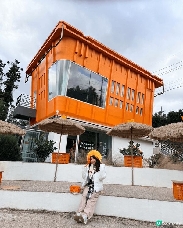 🍊濟州橘園咖啡廳！超美打卡點！📸