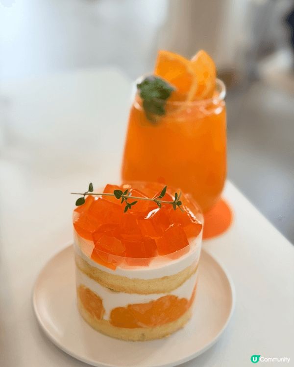 🍊濟州橘園咖啡廳！超美打卡點！📸