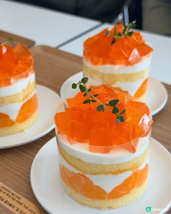 🍊濟州橘園咖啡廳！超美打卡點！📸