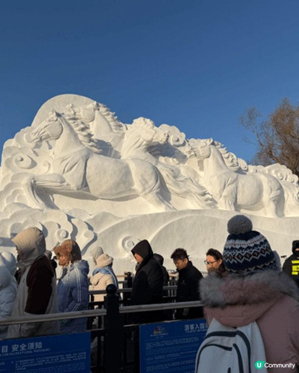 推薦大家到中國哈爾濱市的冰雪大世界，入面有很多不同形狀的冰雕...