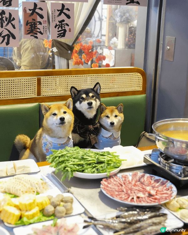 年頭年尾係放縱嘅月份😽
