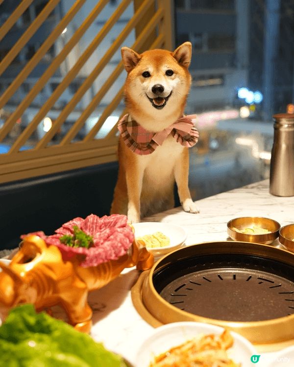 年頭年尾係放縱嘅月份😽