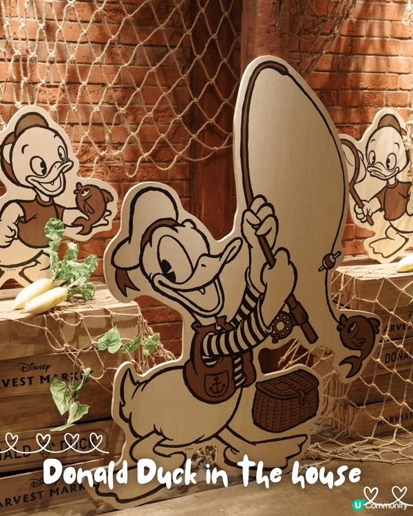 Disney fans必去橫濱隱藏健康cafe ⁉️ 