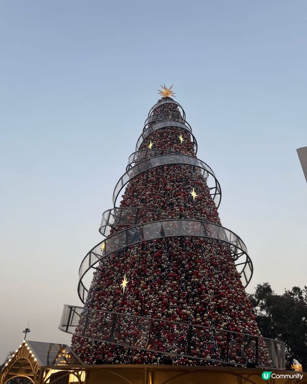 今年中環海濱公園，很有聖誕節日氣氛。會場內有一棵20米高的聖...