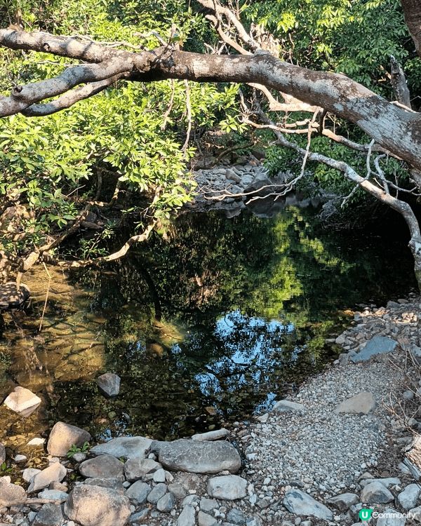 週日行城門水塘，途經大城石澗，白千層林，湖光山色，賞心悅目。...