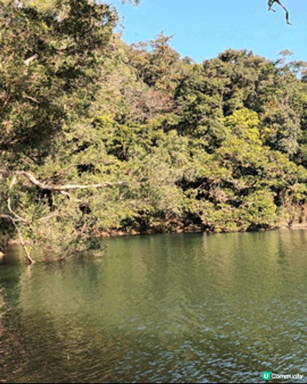 週日行城門水塘，途經大城石澗，白千層林，湖光山色，賞心悅目。...
