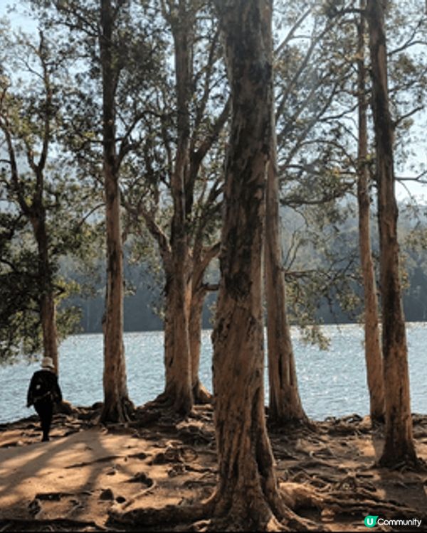 週日行城門水塘，途經大城石澗，白千層林，湖光山色，賞心悅目。...