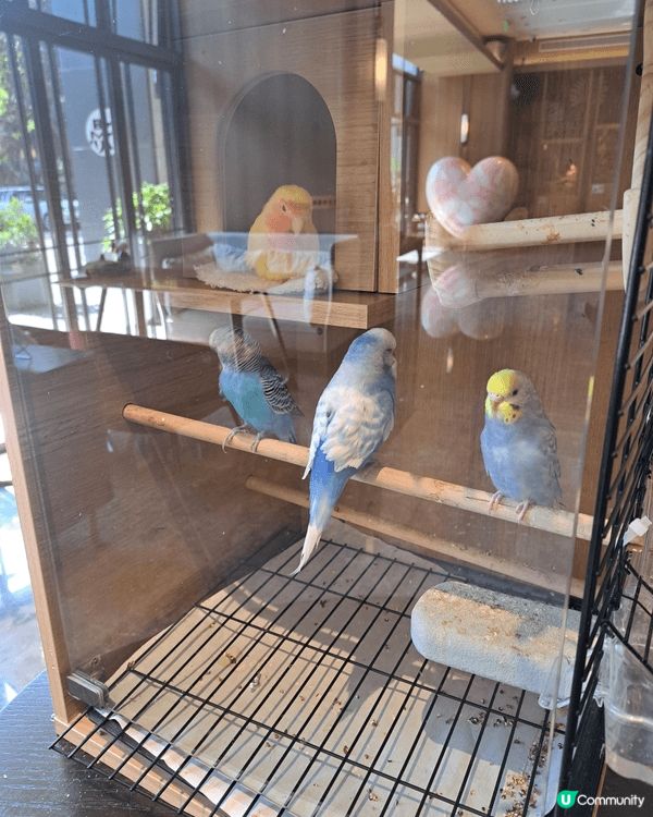 在深圳度過了2日的假期，和小朋友去了playhouse,地方...