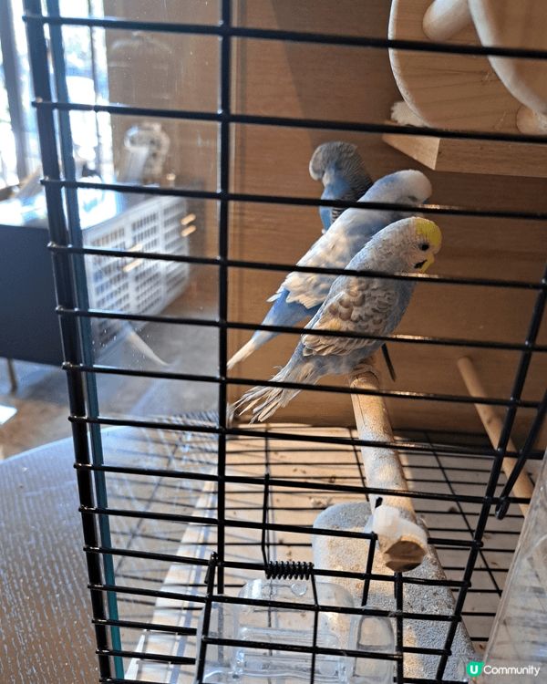 在深圳度過了2日的假期，和小朋友去了playhouse,地方...