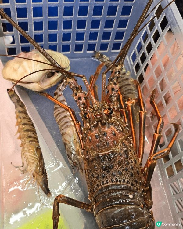 一月份去日本沖繩 天氣冇咁凍 