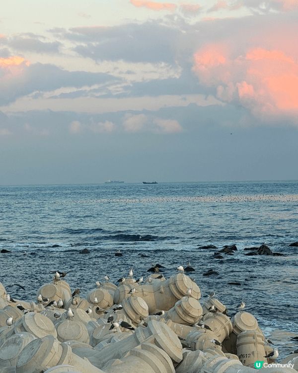 釜山•海的尽头有列小火车