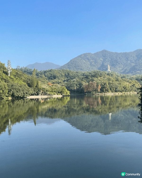從蓮塘口岸黎到仙湖公園十分方便 依家仲可以睇到好靚嘅落雨松 ...