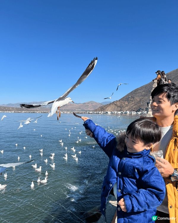 聖誕雲南大理親子自遊行