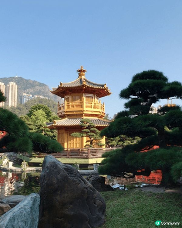 去咗屯門騎術學校開放日, 有得參觀馬房和騎馬, 好開心有得同...