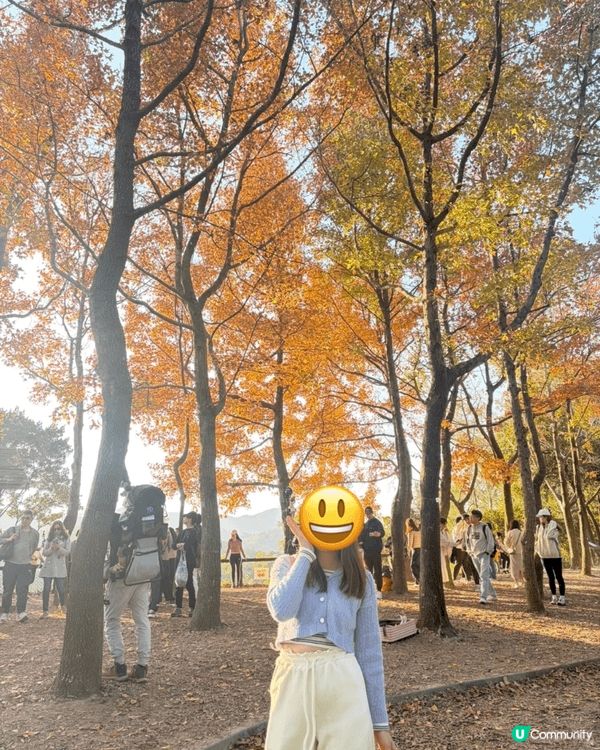 #食飽過馬年