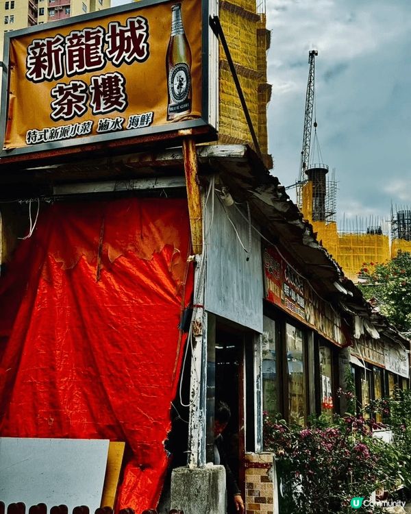 鏡頭拉近「新龍城酒樓」的懷舊圓桌——兩盤港式點心正閃著誘人光...