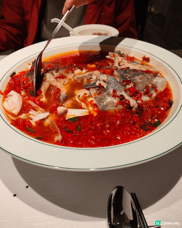 今日約咗退休享受人生嘅好友椰子哥👨🏻‍🦳，一齊去尖沙咀廣東道...