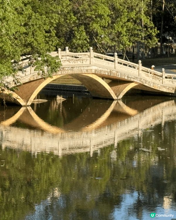 深圳洪湖公園，趁呢排天氣暖暖地去行嚇，仲見到白鷺等。交通：地...