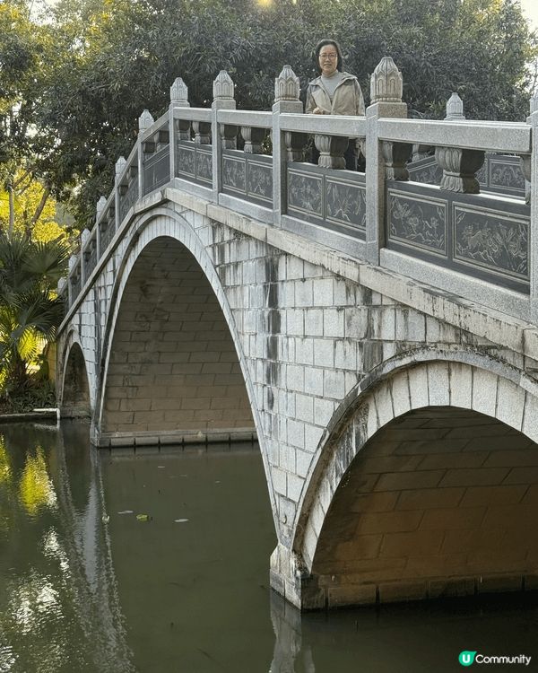 深圳洪湖公園，趁呢排天氣暖暖地去行嚇，仲見到白鷺等。交通：地...