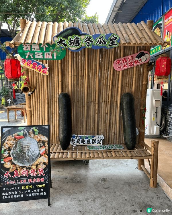 肇慶七星岩，風光如畫，美景處處，食得好、住得好，美食處處，語...
