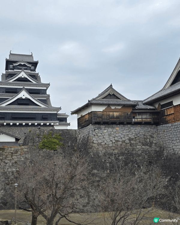 熊本城是日本最具代表性的城堡之一，被譽為"不落的名城"，非常...