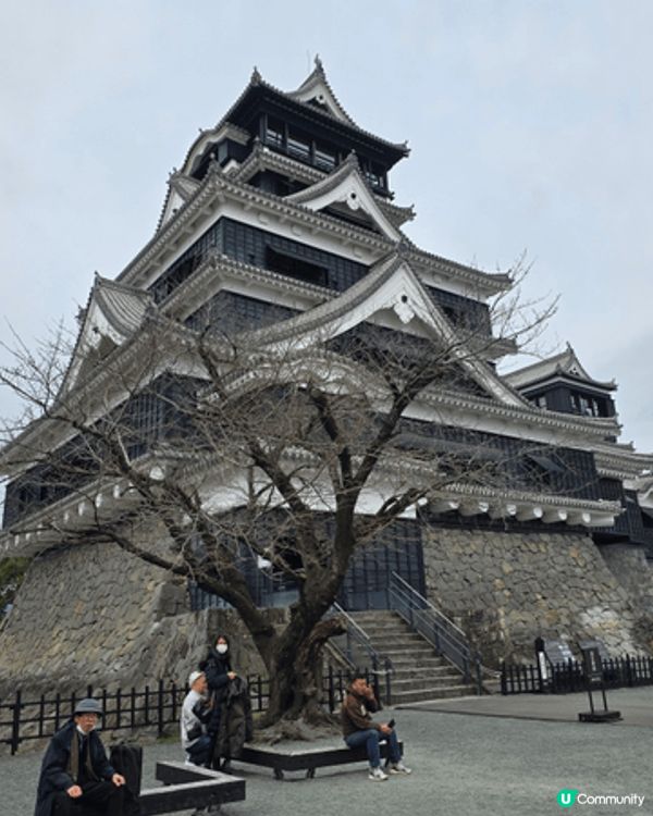 熊本城是日本最具代表性的城堡之一，被譽為"不落的名城"，非常...