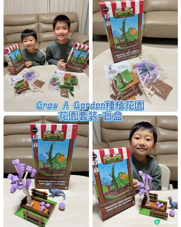 【 一齊投入Grow A Garden盲盒開箱的樂趣 】