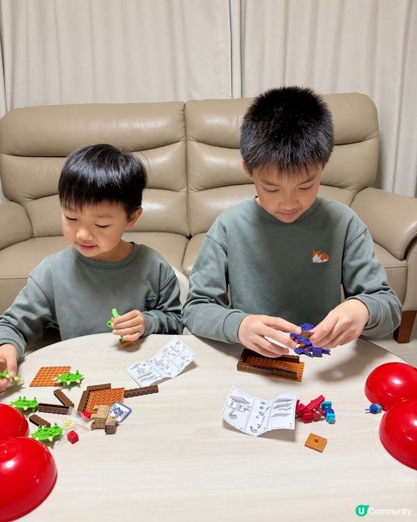 【 一齊投入Grow A Garden盲盒開箱的樂趣 】