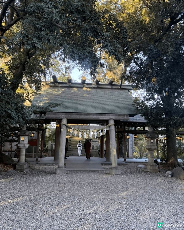 去冰川神社睇紅葉，好靚