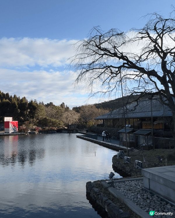 日本大阪新年旅遊一定要去勝尾寺，呢度達摩多的是，好壯觀。日本...