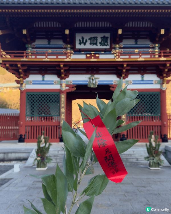 日本大阪新年旅遊一定要去勝尾寺，呢度達摩多的是，好壯觀。日本...