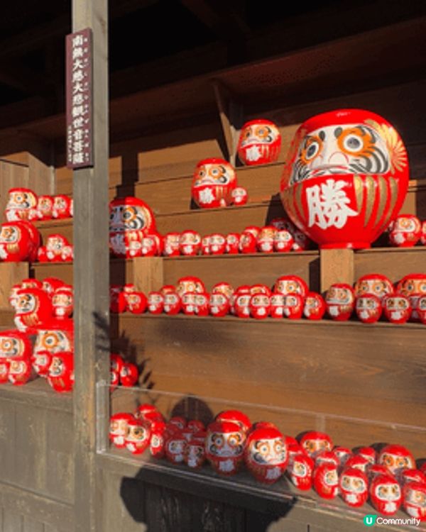 日本大阪新年旅遊一定要去勝尾寺，呢度達摩多的是，好壯觀。日本...