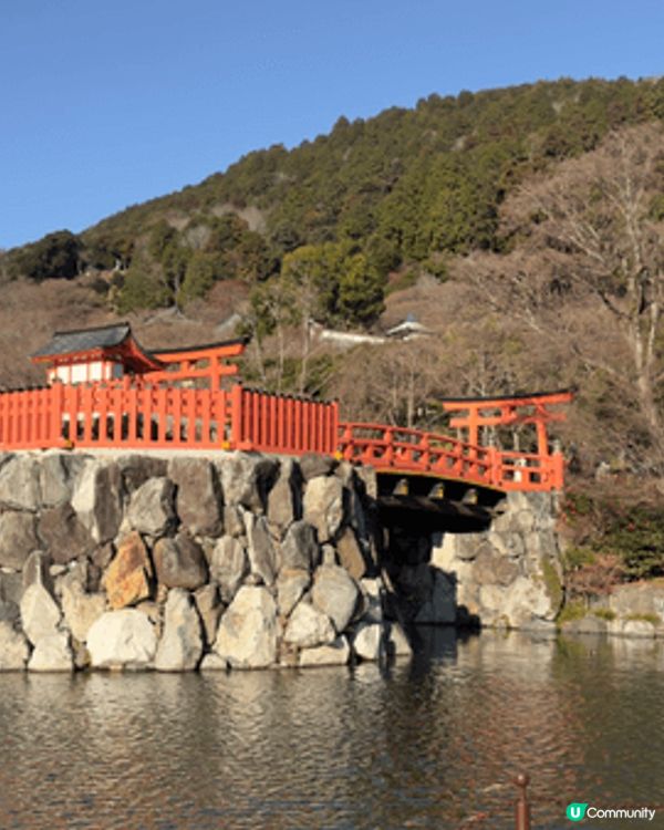 日本大阪新年旅遊一定要去勝尾寺，呢度達摩多的是，好壯觀。日本...