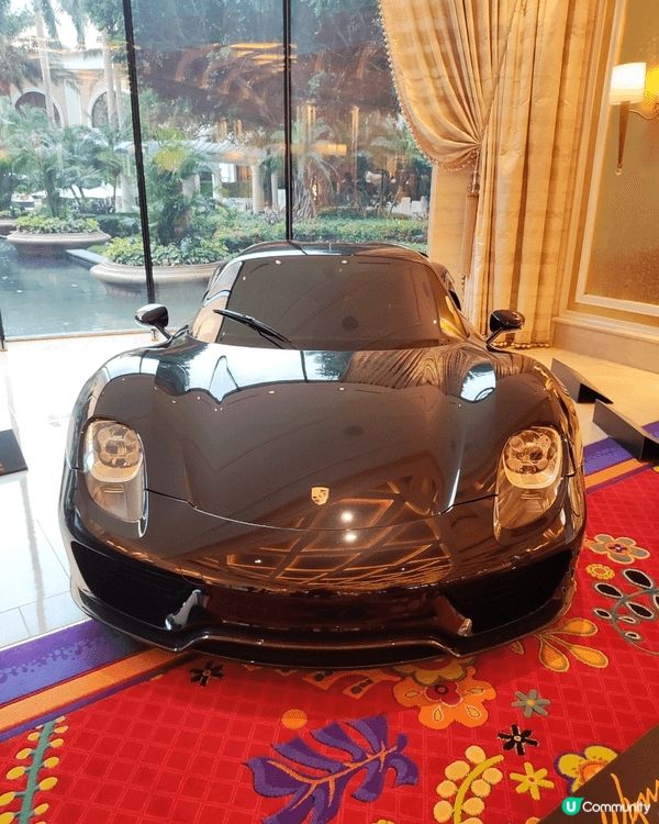 永利車展豪車展覽目不暇給，珠海禦溫泉動物園，非常作不同種類嘅...