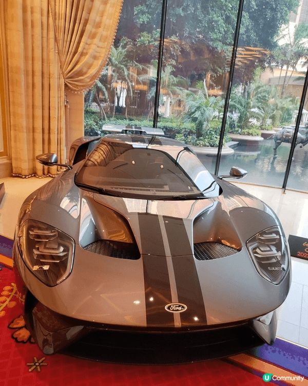 永利車展豪車展覽目不暇給，珠海禦溫泉動物園，非常作不同種類嘅...