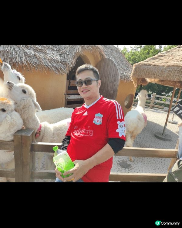 永利車展豪車展覽目不暇給，珠海禦溫泉動物園，非常作不同種類嘅...