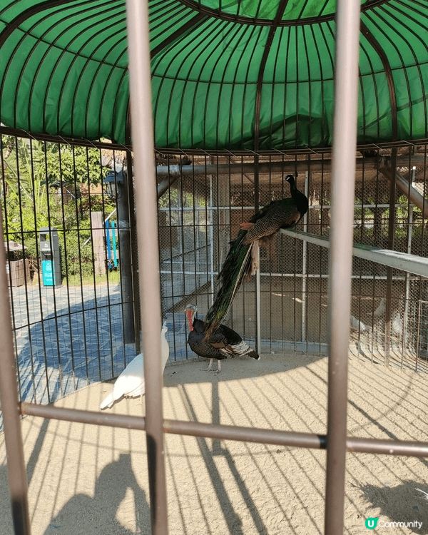 永利車展豪車展覽目不暇給，珠海禦溫泉動物園，非常作不同種類嘅...