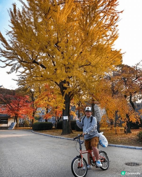 第一次 係外地買架單車 遊紅葉